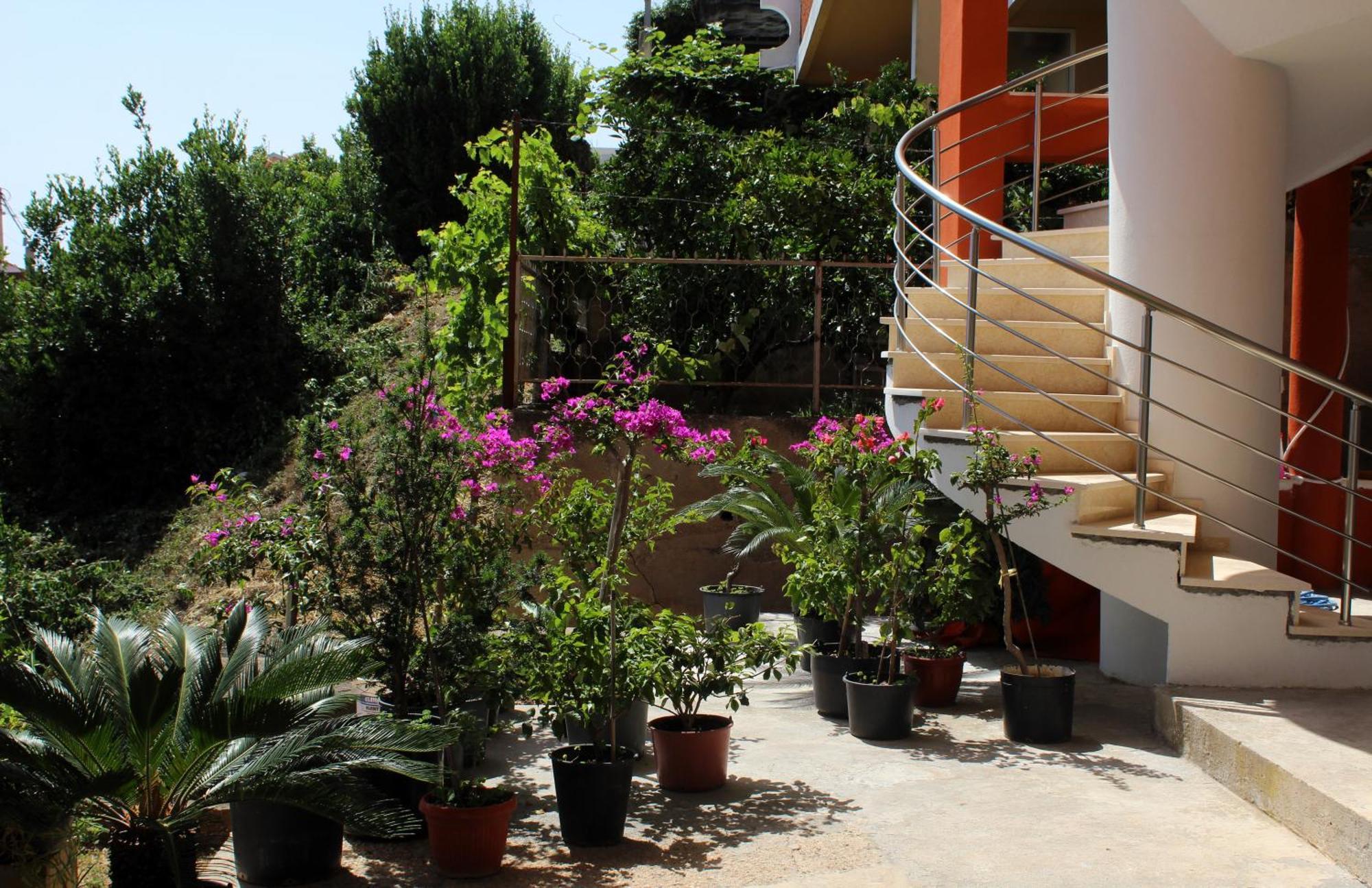 Apartments Olga Ulcinj Exterior photo